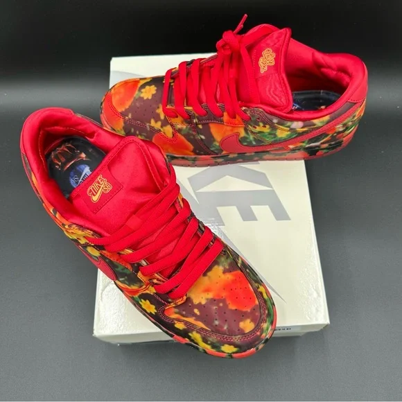 NWT 2024 NIKE SB DUNK LOW PRO WIZARD OF OZ QS DEADSTOCK OG ALL MENS 10.5 - Picture 2 of 16